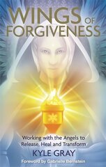 Wings of forgiveness kaina ir informacija | Saviugdos knygos | pigu.lt