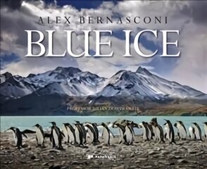 Blue Ice цена и информация | Книги по фотографии | pigu.lt