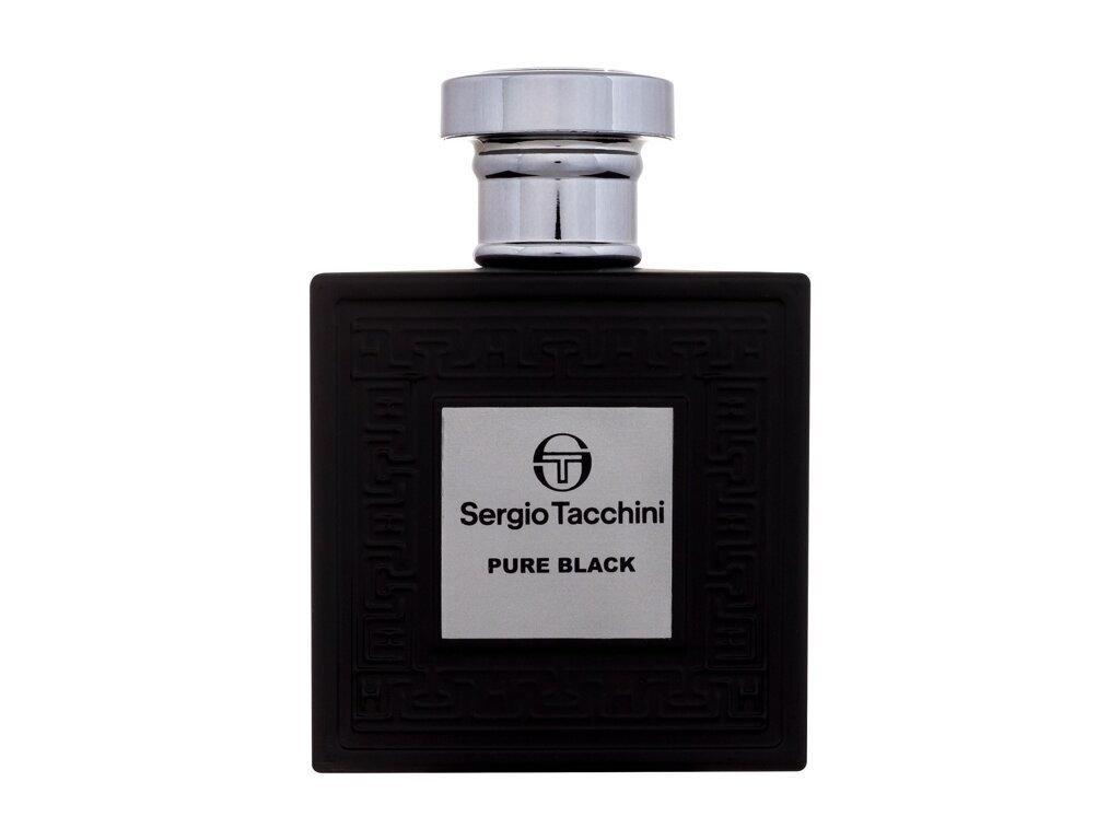 Tualetinis vanduo Sergio Tacchini Pure Black EDT vyrams 100 ml kaina ir informacija | Kvepalai vyrams | pigu.lt