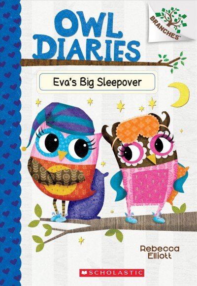 Eva's Big Sleepover: A Branches Book (Owl Diaries #9): Volume 9 Library ed. цена и информация | Knygos paaugliams ir jaunimui | pigu.lt
