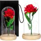Rožė su LED girilianda HA5155 kaina ir informacija | Miegančios rožės, stabilizuoti augalai | pigu.lt