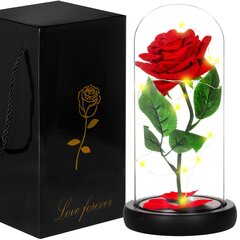Вечная роза в стекле HA5156  цена и информация | Спящие стабилизированные розы, растения | pigu.lt
