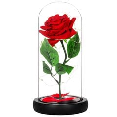 Rožė su LED girilianda HA5156 цена и информация | Спящие стабилизированные розы, растения | pigu.lt