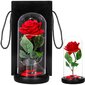 Rožė su LED girilianda HA5156 kaina ir informacija | Miegančios rožės, stabilizuoti augalai | pigu.lt