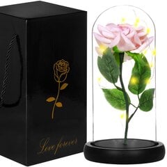 Rožė su LED girilianda HA5157 kaina ir informacija | Miegančios rožės, stabilizuoti augalai | pigu.lt