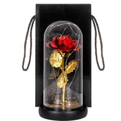 Вечная роза в стекле Springos HA5160 цена и информация | Спящие стабилизированные розы, растения | pigu.lt