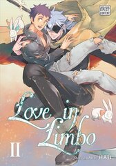 Love in Limbo, Vol. 2 kaina ir informacija | Fantastinės, mistinės knygos | pigu.lt