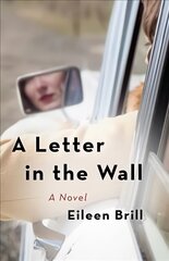 Letter in the Wall: A Novel цена и информация | Фантастика, фэнтези | pigu.lt