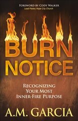 Burn Notice: Recognizing Your Most Inner-Fire Purpose цена и информация | Духовная литература | pigu.lt