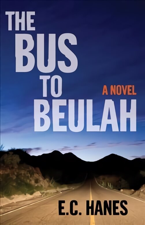 Bus to Beluah: A Novel kaina ir informacija | Fantastinės, mistinės knygos | pigu.lt