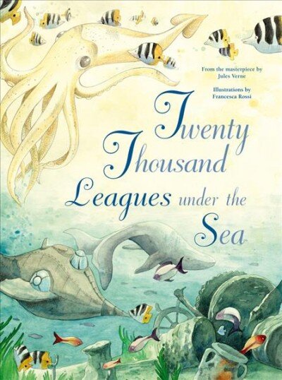 Twenty Thousand Leagues Under the Sea цена и информация | Knygos mažiesiems | pigu.lt