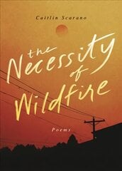 Necessity of Wildfire: Poems цена и информация | Поэзия | pigu.lt