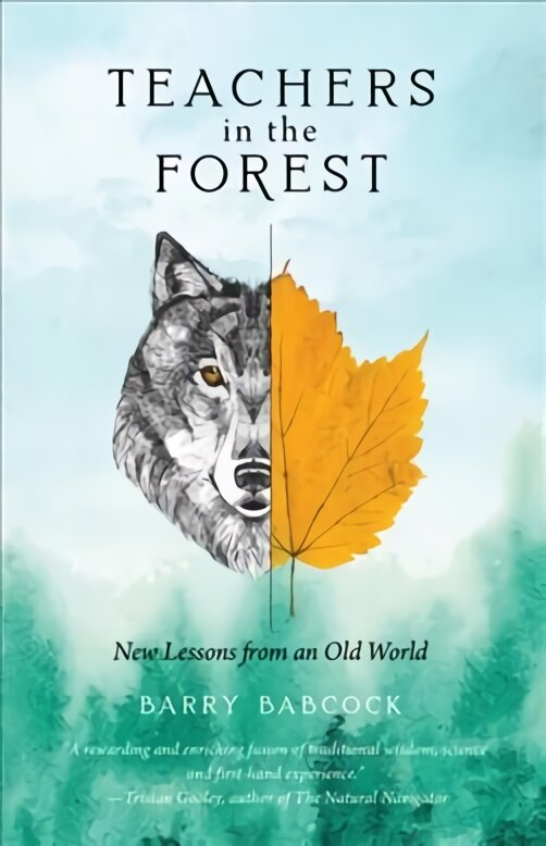 Teachers in the forest: new lessons from an old world цена и информация | Knygos apie sveiką gyvenseną ir mitybą | pigu.lt