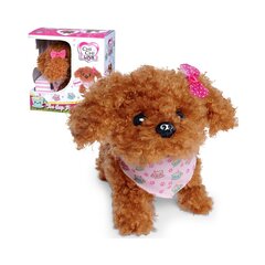 Interaktyvus pliušinis šuniukas pudelis Chi Chi Love Simba, rudas kaina ir informacija | Minkšti (pliušiniai) žaislai | pigu.lt