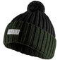 Alpinus Matind žieminė kepurė TT18275, pilkai žalia kaina ir informacija | Vyriški šalikai, kepurės, pirštinės | pigu.lt