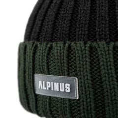 Зимняя шапка Alpinus Matind TT18275, серо-зеленая цена и информация | Мужские шарфы, шапки, перчатки | pigu.lt