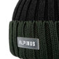 Alpinus Matind žieminė kepurė TT18275, pilkai žalia kaina ir informacija | Vyriški šalikai, kepurės, pirštinės | pigu.lt