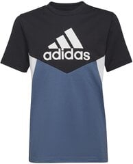 Футболка Adidas B Cb T Ess Blue HN8551 HN8551/140 цена и информация | Рубашки для мальчиков | pigu.lt