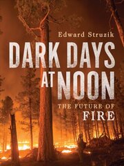 Dark Days at Noon: The Future of Fire kaina ir informacija | Ekonomikos knygos | pigu.lt