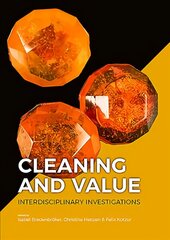 Cleaning and Value: Interdisciplinary Investigations kaina ir informacija | Istorinės knygos | pigu.lt