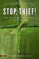 Stop, Thief!: The Commons, Enclosures, And Resistance цена и информация | Исторические книги | pigu.lt