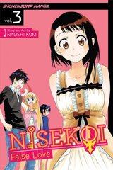 Nisekoi: False Love, Vol. 3: What's in a Name? kaina ir informacija | Fantastinės, mistinės knygos | pigu.lt