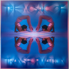 Kaitlyn Aurelia Smith - The Mosaic Of Transformation, LP, Clear Vinyl, vinilo plokštė, 12" vinyl record kaina ir informacija | Vinilinės plokštelės, CD, DVD | pigu.lt