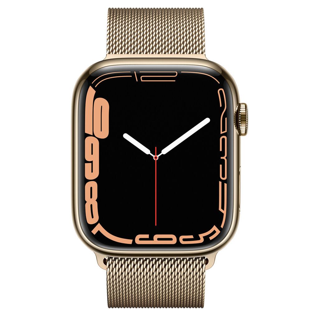 Apple Watch Series 7 45mm Stainless steel GPS+Cellular (Atnaujintas, būklė kaip naujas) kaina ir informacija | Išmanieji laikrodžiai (smartwatch) | pigu.lt