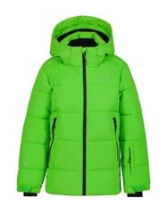 Vaikiška slidinėjimo striukė Icepeak Louin 21750_95220, žalios spalvos цена и информация | Зимняя одежда для детей | pigu.lt
