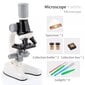 Žaislinis mikroskopas vaikams 1200x kaina ir informacija | Lavinamieji žaislai | pigu.lt