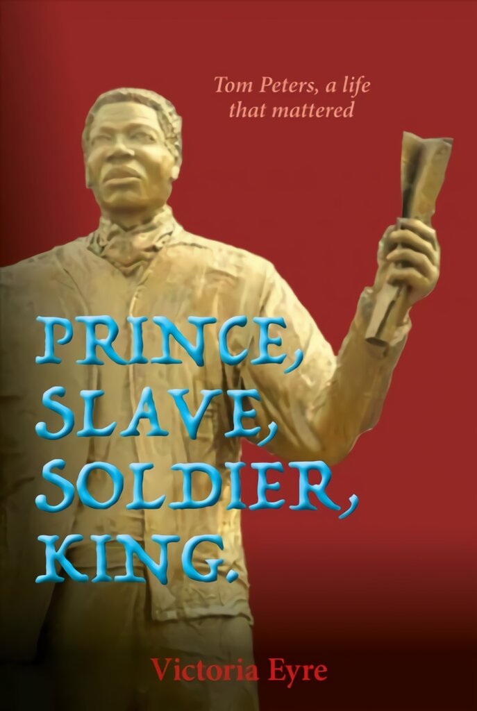 Prince Slave Soldier King цена и информация | Fantastinės, mistinės knygos | pigu.lt