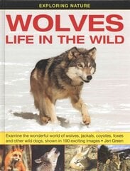 Exploring Nature: Wolves - Life in the Wild: Examine the Wonderful World of Wolves, Jackals, Coyotes, Foxes and Other Wild Dogs, Shown in 190 Exciting Images цена и информация | Книги для подростков  | pigu.lt