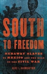 South to Freedom: Runaway Slaves to Mexico and the Road to the Civil War цена и информация | Исторические книги | pigu.lt