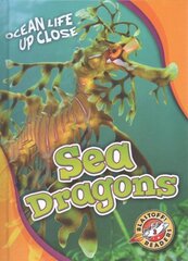 Sea Dragons kaina ir informacija | Knygos paaugliams ir jaunimui | pigu.lt