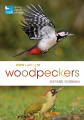 RSPB Spotlight Woodpeckers kaina ir informacija | Enciklopedijos ir žinynai | pigu.lt