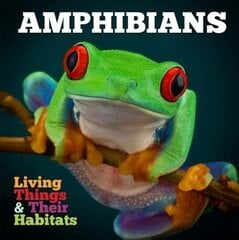 Amphibians цена и информация | Книги для подростков и молодежи | pigu.lt