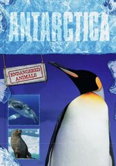 Antarctica kaina ir informacija | Knygos paaugliams ir jaunimui | pigu.lt