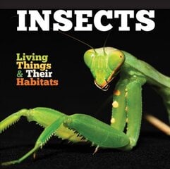 Insects None ed. цена и информация | Книги для подростков и молодежи | pigu.lt