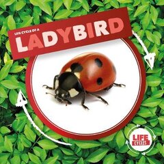 Ladybird цена и информация | Книги для подростков  | pigu.lt