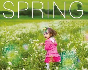 Spring цена и информация | Книги для подростков и молодежи | pigu.lt