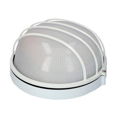 Настенный светильник EDM Vinyols Белый 100W цена и информация | Уличные светильники | pigu.lt