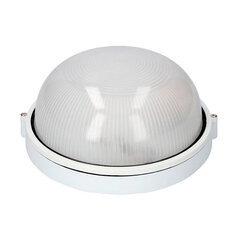 Настенный светильник EDM Cambrils Белый 100W цена и информация | Уличные светильники | pigu.lt