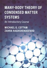 Many-Body Theory of Condensed Matter Systems: An Introductory Course kaina ir informacija | Ekonomikos knygos | pigu.lt