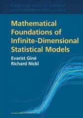 Mathematical Foundations of Infinite-Dimensional Statistical Models Revised edition kaina ir informacija | Ekonomikos knygos | pigu.lt