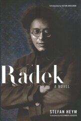 Radek цена и информация | Романы | pigu.lt