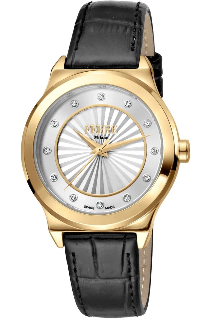 Laikrodis moterims Ferre Milano kaina ir informacija | Moteriški laikrodžiai | pigu.lt