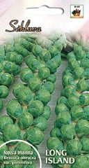 Briuseliniai kopūstai Long Island цена и информация | Семена овощей, ягод | pigu.lt