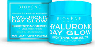 Крем для лица Biovène Hyaluronic Day Glow, 50 мл цена и информация | Кремы для лица | pigu.lt