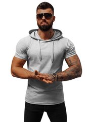 Marškinėliai vyrams Remer JS/8T89/3Z-50085, pilki kaina ir informacija | Sportinė apranga vyrams | pigu.lt
