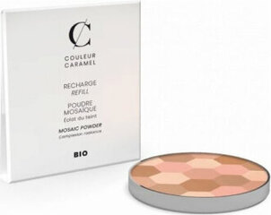 Kompaktinė pudra Couleur Caramel Caramel N232 Teint Clair kaina ir informacija | Couleur Caramel Kvepalai, kosmetika | pigu.lt